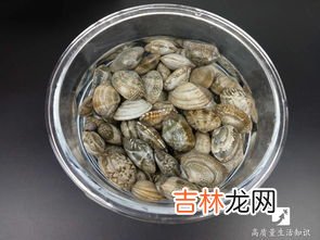 蛤蜊吐沙最干净方法,花蛤怎么吐沙吐干净