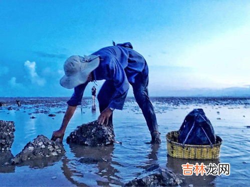 最佳赶海时间在最低潮吗,赶海都在什么时候去？