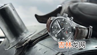 IWC手表2345678 ,万国手表后盖印有英文PORTOFINO,2345678,001&#047;500是什么意思，怎样能分别真假？