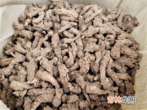 哪个制药厂收购蛋白虫,哪里有收购蛋白虫的？