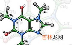 蛋白质是什么,什么是蛋白质?