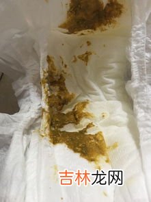 粑粑为什么是黑色的,狗狗拉的粑粑是黑色的 这些原因你要知道哦