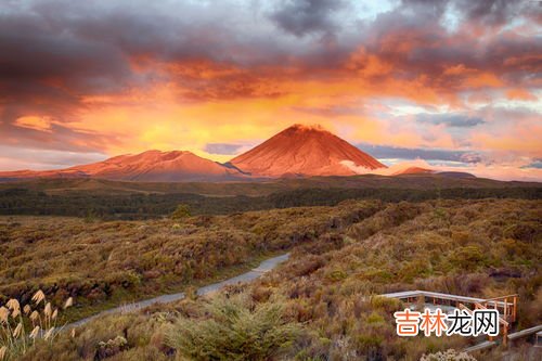 汤加火山在哪个国家,火山爆发是哪个国家呢？