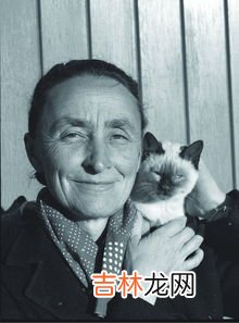 猫在古埃及的地位,古埃及猫的地位