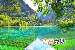 九寨沟地震为什么西安有震感,四川九寨沟地震