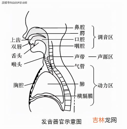 图文 头腔共鸣简单方法,怎么头腔共鸣