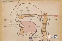 图文 头腔共鸣简单方法,怎么头腔共鸣