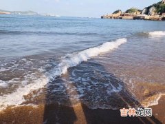 去枸杞岛在哪个码头坐船,从枸杞岛要怎么回上海？