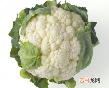 菜花能吃吗,青菜的花可以吃吗