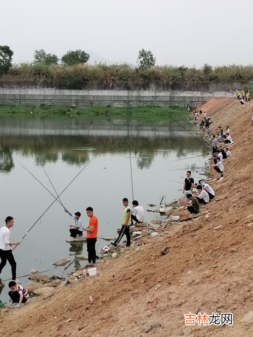 水库为什么容易淹死人,河里或水库游泳为什么会被淹死?