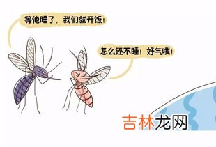 蚊子有趋光性吗,蚊子趋光性还是避光性