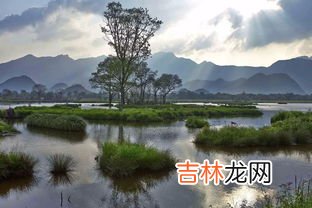 神农架林区是哪个市,神农架在哪里是什么