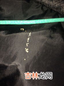 衣服上一粒粒黄黄的是什么卵,衣柜里的深色衣服上出现黄色的小颗粒，不知道是虫卵还是虫屎&#128027;？求