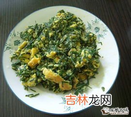 野葱和野蒜的区别,野葱和野蒜的区别有哪些？