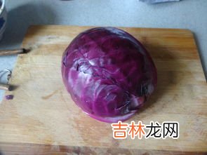 紫甘蓝是转基因蔬菜吗,紫甘蓝是转基因食品吗？？