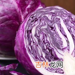 紫甘蓝是转基因蔬菜吗,紫甘蓝是转基因食品吗？？