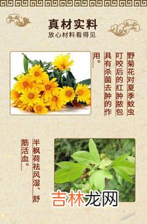 加盟植物养发品牌排行榜,养发馆排行榜10强是什么？