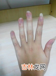 5000左右的女士手表哪个牌子好,预算5000左右,有哪些机械表值得推荐?
