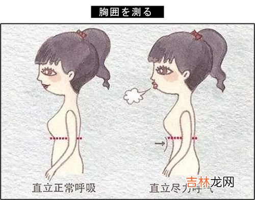 胸大无脑这个词的由来,为什么古人会说：‘女人胸大无脑’呢？