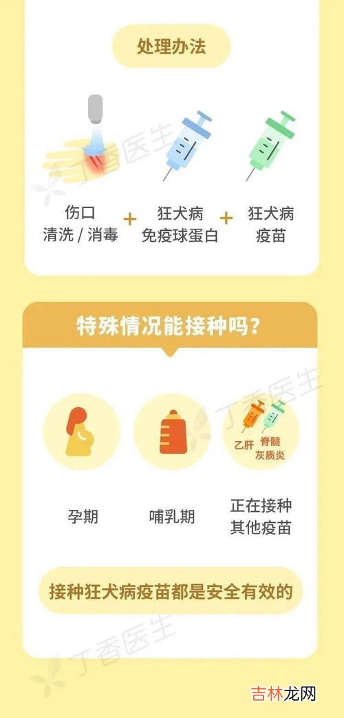 为什么打狂犬疫苗不能吃辣椒,为什么打完狂犬疫苗不能吃辣椒 葱姜蒜