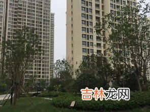 星雨华府为什么那么贵,雨润星雨华府为什么那么便宜