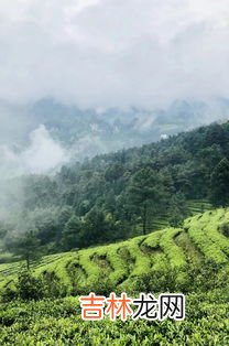 黑山谷海拔最高多少米,重庆黑山谷的海拔