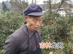 古来稀之年是多少岁,古稀之年是指多少岁？