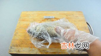 金鲳鱼用不用刮鱼鳞,鲳鱼属于无鳞鱼吗？