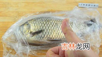 金鲳鱼用不用刮鱼鳞,鲳鱼属于无鳞鱼吗？