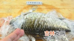 金鲳鱼用不用刮鱼鳞,鲳鱼属于无鳞鱼吗？