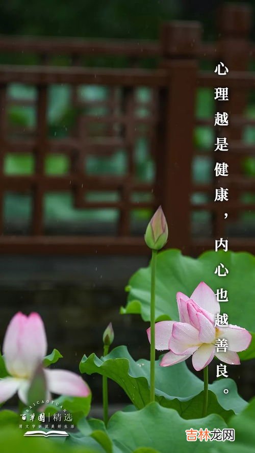 为什么风越大我心越荡,怎么大风越狠我心越荡 这句歌词是什么意思