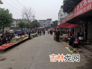 雨城是哪个城市,我们中国比较奇特的城市，“雨城”在哪里呢？