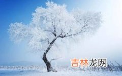 关于雪的唯美昵称二字,关于雪的唯美二字昵称有哪些?