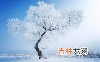 关于雪的唯美昵称二字,关于雪的唯美二字昵称有哪些?