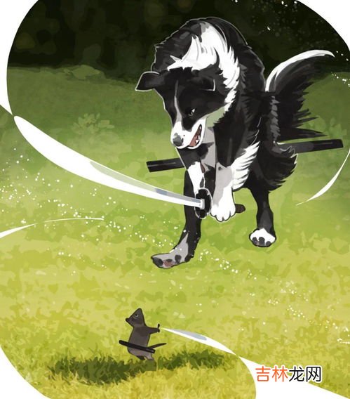 买风前残烛的动物,风烛残年打一动物