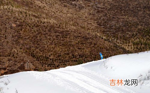 国家冬季两项中心位于哪个赛区,冬奥会滑雪场地在哪里？