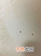 床上为什么会有蜈蚣,炕上经常出现蜈蚣,不知是从哪里出来的？