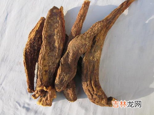 迪拜肉苁蓉有什么作用,肉苁蓉的功效与作用分别是？