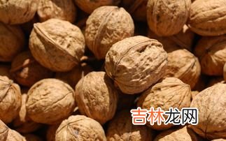 核桃的功效与作用及食用方法,核桃有哪些功效和食疗方法？