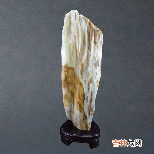 Fossil Woods 硅化木是单晶质吗,硅化木是什么？