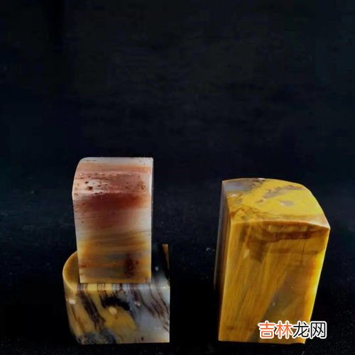 Fossil Woods 硅化木是单晶质吗,硅化木是什么？