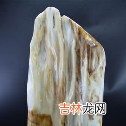 Fossil Woods 硅化木是单晶质吗,硅化木是什么？