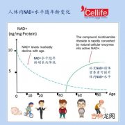 NMN30000有用吗,吃点高瑞莱NMN30000Pro真的能睡个好觉了吗？