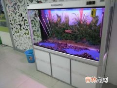 专业生产水族箱品牌排名前十有哪些? 欧式鱼缸品牌排行榜,高档鱼缸品牌大全排行榜