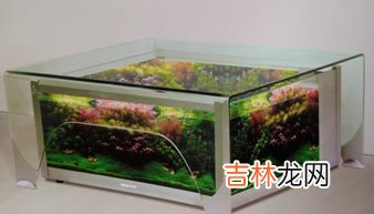 专业生产水族箱品牌排名前十有哪些? 欧式鱼缸品牌排行榜,高档鱼缸品牌大全排行榜