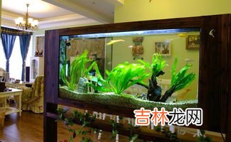 专业生产水族箱品牌排名前十有哪些? 欧式鱼缸品牌排行榜,高档鱼缸品牌大全排行榜