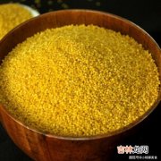 燕子吃小米吗,小燕子吃什么食物小燕子的食物是什么