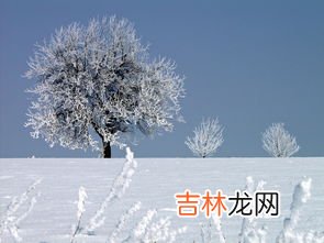 冰的温度是多少,冰的温度是多少？冰水混合物呢？