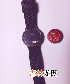 dw手表电池是什么牌子,dw手表可以用多久 日常保养要仔细