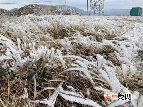 零下4℃会结冰吗,零下四度能结冰吗